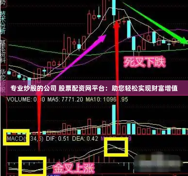 专业炒股的公司 股票配资网平台：助您轻松实现财富增值