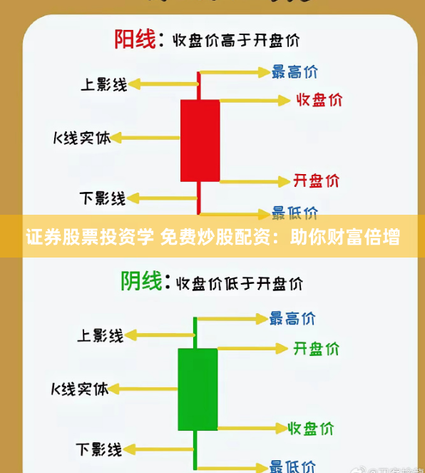 证券股票投资学 免费炒股配资：助你财富倍增
