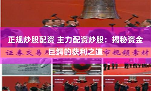 正规炒股配资 主力配资炒股：揭秘资金巨鳄的获利之道