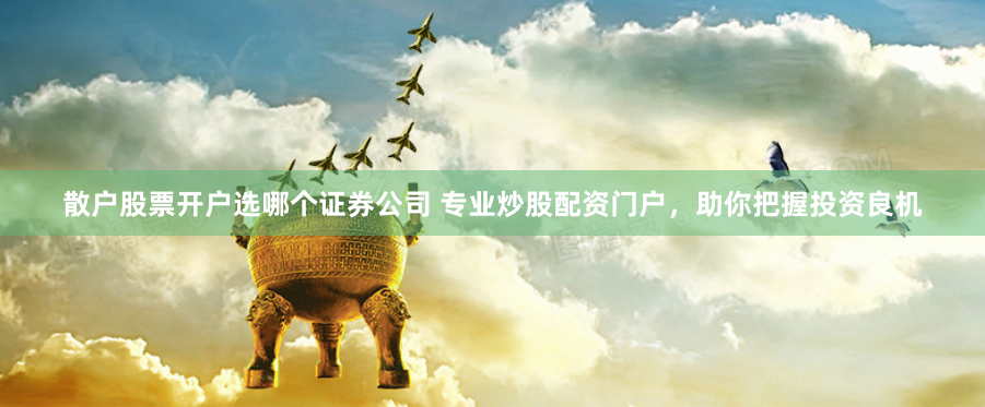 散户股票开户选哪个证券公司 专业炒股配资门户,助你把握投资良机