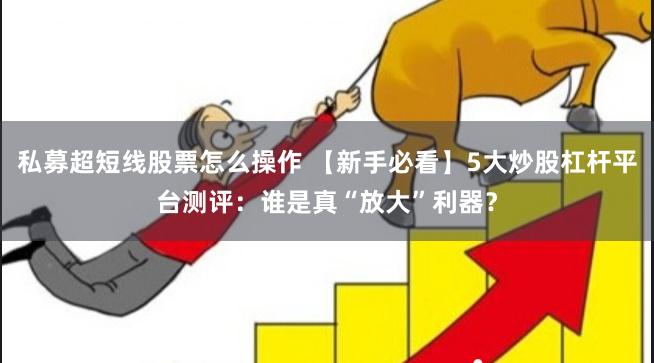 私募超短线股票怎么操作 【新手必看】5大炒股杠杆平台测评：谁是真“放大”利器？