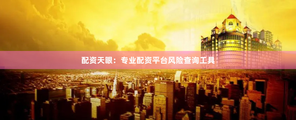 配资天眼：专业配资平台风险查询工具
