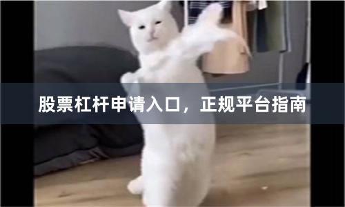 股票杠杆申请入口，正规平台指南